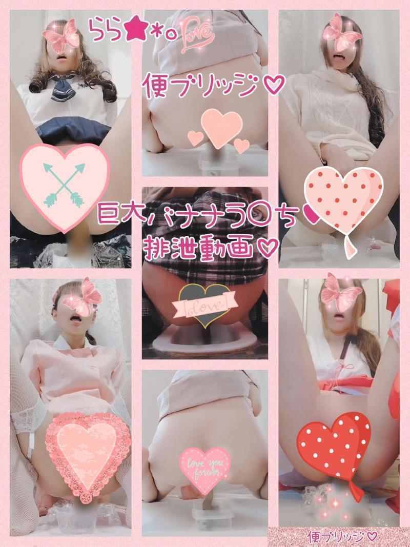 出品者名-写真